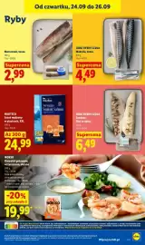 Lidl gazetka Strona 61