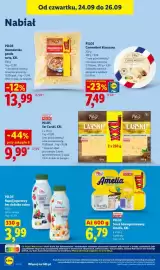 Lidl gazetka Strona 66