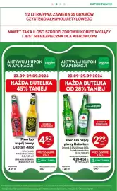 Żabka gazetka Strona 45