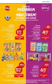 Żabka gazetka Strona 84