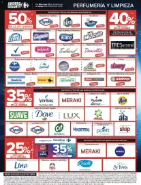 Catálogo Carrefour Página 17