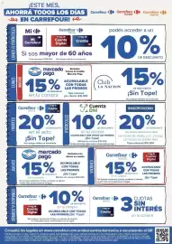 Catálogo Carrefour Página 33
