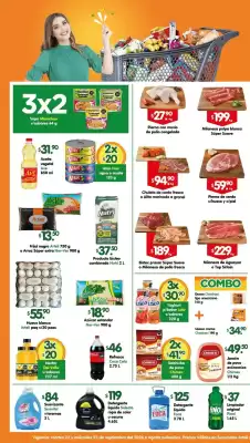 Folleto Arteli (válido hasta 23-09)