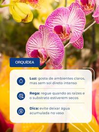 Folheto Shibata Supermercados Página 4