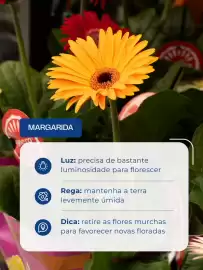 Folheto Shibata Supermercados Página 3