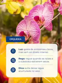 Folheto Shibata Supermercados Página 4