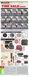 Canadian Tire flyer week 39 Page 11: Pro Series OE Shocks & Strut Assemblies €39,99