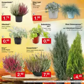 Zimmermann Prospekt woche 40 Seite 15