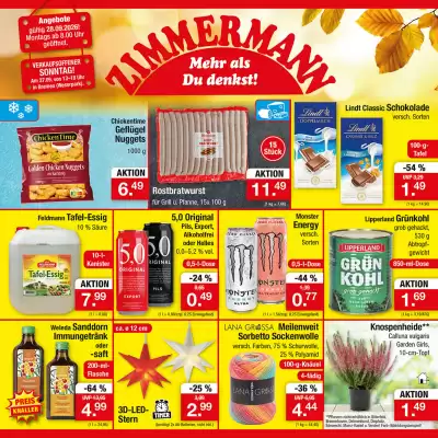 Zimmermann (gültig bis 3-10)