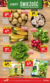 Polomarket gazetka tydzień 39 Strona 32