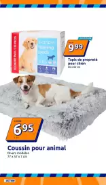Catalogue Action semaine 39 page 13