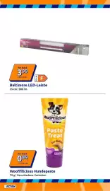 Action Prospekt woche 39 Seite 14