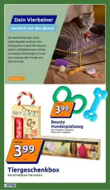 Action Prospekt woche 39 Seite 31