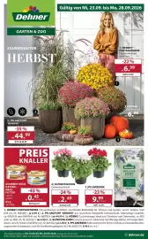 Dehner Prospekt woche 39 Seite 1