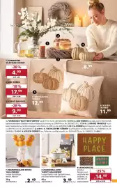 Dehner Prospekt woche 39 Seite 11