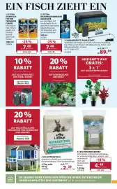 Dehner Prospekt woche 39 Seite 13