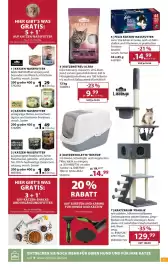 Dehner Prospekt woche 39 Seite 15