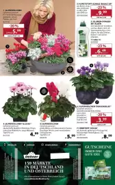 Dehner Prospekt woche 39 Seite 16
