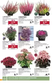 Dehner Prospekt woche 39 Seite 2