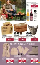 Dehner Prospekt woche 39 Seite 5