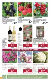 Dehner Prospekt woche 39 Seite 6