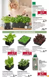 Dehner Prospekt woche 39 Seite 7