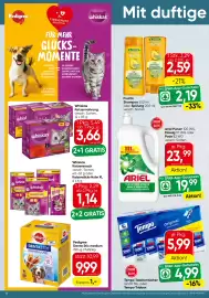 Strasser Markt Flugblatt Seite 18