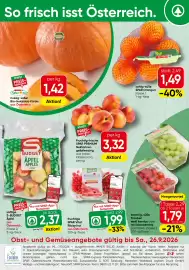 Strasser Markt Flugblatt Seite 20