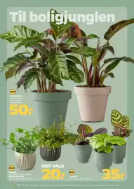Netto tilbudsavis uge 39 Side 29