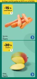 Bio Planet folder Pagina 3: Mango, Wortelen