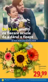 Catalog Lidl săptămâna 40 Pagină 44: Buchet de toamnă €29,99