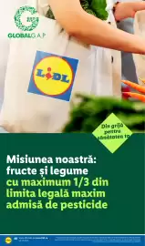 Catalog Lidl săptămâna 40 Pagină 48