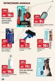 Catalog Carrefour Pagină 11: Care pieptene pisici €10,90, Carrefour clește unghii pentru animale mici €14,90