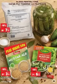 Catalog Carrefour Market săptămâna 39 Pagină 33: Kamis condimente pentru muraturi in saramura €6,29