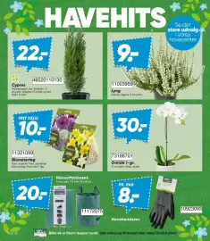 Bilka tilbudsavis Side 6: Salling Blomsterløg €10,00, Gro Cypres €22,00