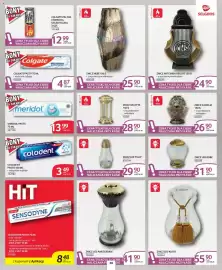 Selgros gazetka Strona 33