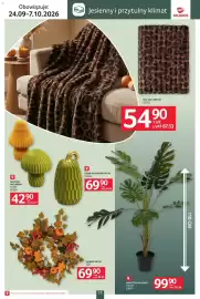 Selgros gazetka Strona 11