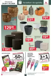 Selgros gazetka Strona 15: DONICZKA GRACIA 24 CM €19,90, Donica Rattanowa €129,00