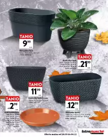 Intermarche gazetka Strona 11: Skrzynka Furu €9,99, Skrzynka Splofy 29,7x14,5x13,3 cm €12,99