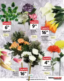Intermarche gazetka Strona 9: Bukiet 7 kalii Goliat €16,99, Hortensja pojedyncza Goliat €9,99