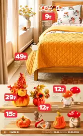 Netto gazetka tydzień 39 Strona 2: 49- Narzuta na łóżko (2 kolory) wym. 200x220 cm 1 szt. kolor drugi k wzory 9. Poszewka na