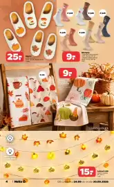Netto gazetka tydzień 39 Strona 4: Skarpety €9,00, Łańcuch LED €15,00