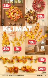Netto gazetka tydzień 39 Strona 5: 35- Wieniec jesienny Ø 48 cm 1 szt. Jesien ny KLIMAT 39- Wieniec jesienny (2 wzory) • 35
