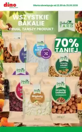 Dino gazetka tydzień 39 Strona 6