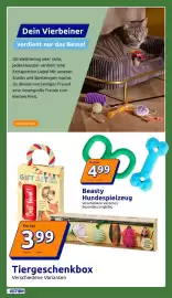 Action Flugblatt woche 39 Seite 28: Tiergeschenkbox €3,99, Beasty Hundespielzeug €4,99