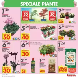 Volantino Italmark Pagina 23: Crisantemo ciotola diametro cm 23 €5,99, Piante verdi miste €6,99