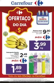 Folheto Carrefour Página 1: Limpol - tipos €1,89, Meu - manga palmer €3,99