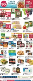 Big Y flyer Page 1