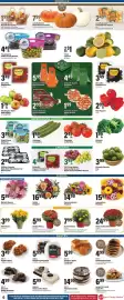 Big Y flyer Page 8