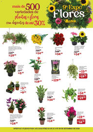 Encarte Bistek Supermercados semana 39 Página 2